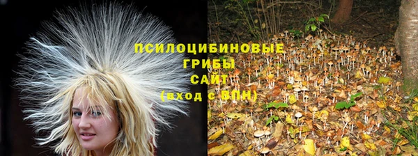 спиды Володарск