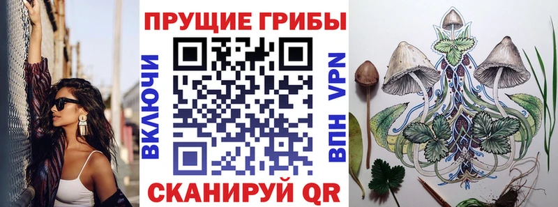Псилоцибиновые грибы мухоморы  mega маркетплейс  Ишим 